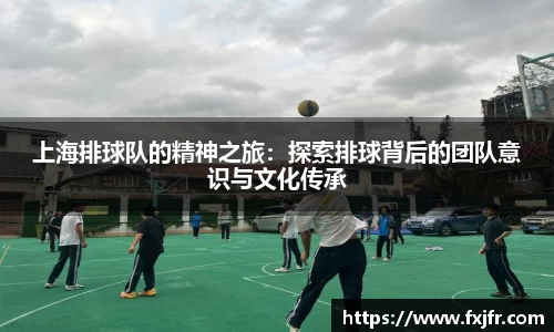 球速体育平台