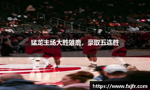 球速体育